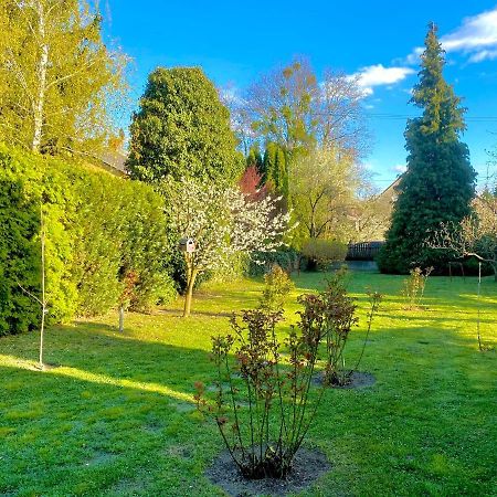 Roselio Garden Leilighet Hévíz Eksteriør bilde